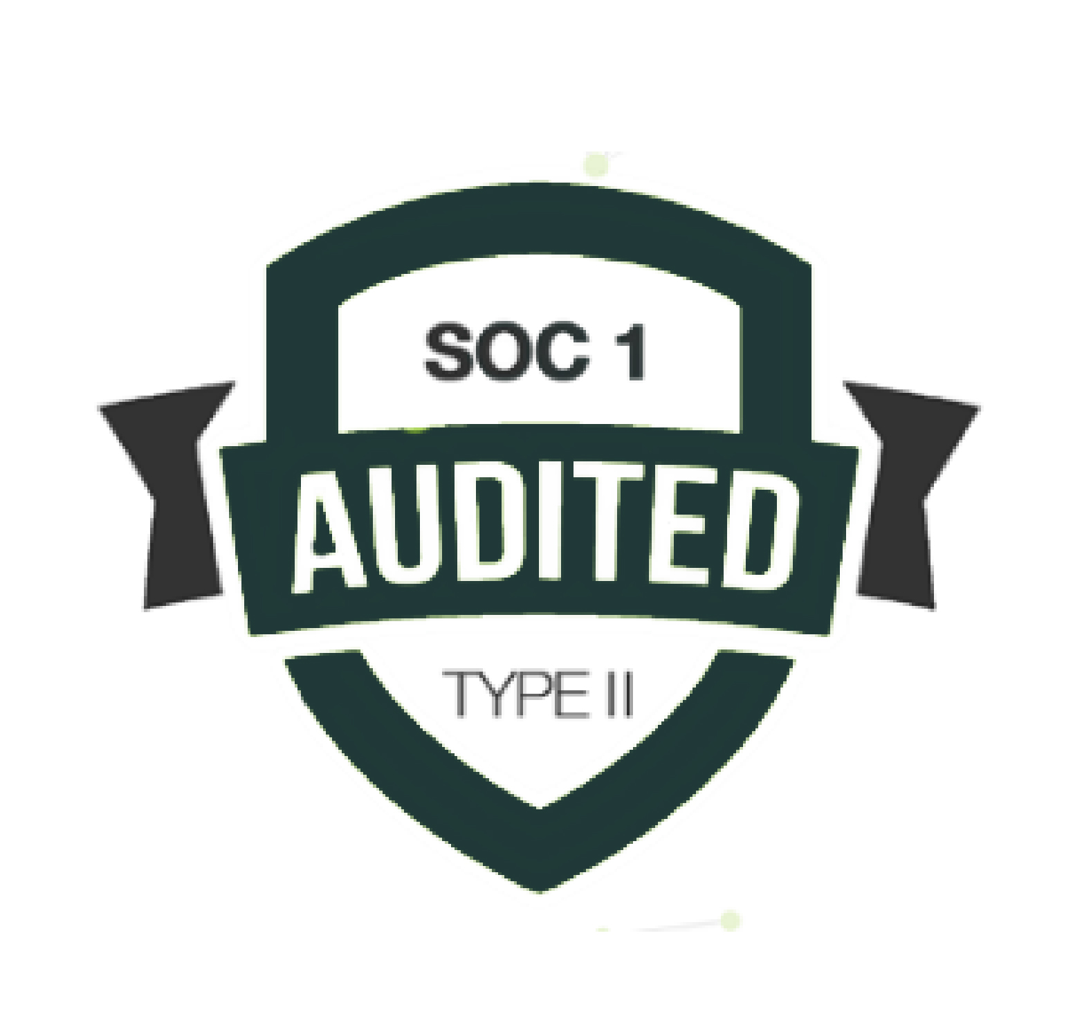 STI-Soc1_audited
